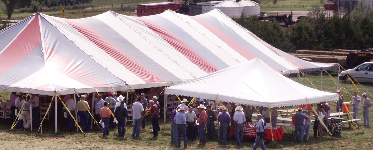 Field Day