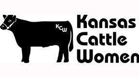 KCW Logo KCW Logo
