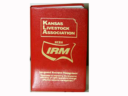 mem_redbook red book