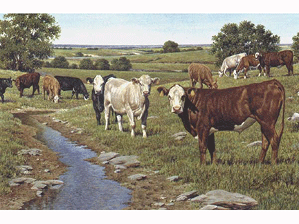 yearlings print