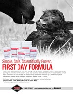 First Day Formula