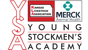 YSA Logo YSA Logo